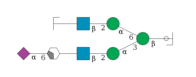 b1D-GlcNAc,p/#ccleavage--4b1D-Man,p(--3a1D-Man,p--2b1D-GlcNAc,p--?b1D-Gal,p/#xcleavage_2_4--6a2D-NeuAc,p)--6a1D-Man,p--2b1D-GlcNAc,p--?b1D-Gal,p/#zcleavage$MONO,Und,-2H,0,redEnd