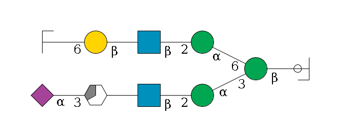 b1D-GlcNAc,p/#ccleavage--4b1D-Man,p(--3a1D-Man,p--2b1D-GlcNAc,p--?b1D-Gal,p/#xcleavage_3_5--3a2D-NeuAc,p)--6a1D-Man,p--2b1D-GlcNAc,p--?b1D-Gal,p--6a2D-NeuAc,p/#zcleavage$MONO,Und,-2H,0,redEnd