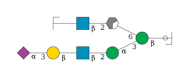 b1D-GlcNAc,p/#ccleavage--4b1D-Man,p(--3a1D-Man,p--2b1D-GlcNAc,p--?b1D-Gal,p--3a2D-NeuAc,p)--6a1D-Man,p/#xcleavage_0_2--2b1D-GlcNAc,p--?b1D-Gal,p/#zcleavage$MONO,Und,-2H,0,redEnd