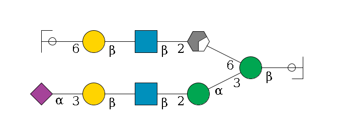 b1D-GlcNAc,p/#ccleavage--4b1D-Man,p(--3a1D-Man,p--2b1D-GlcNAc,p--?b1D-Gal,p--3a2D-NeuAc,p)--6a1D-Man,p/#xcleavage_0_2--2b1D-GlcNAc,p--?b1D-Gal,p--6a2D-NeuAc,p/#ycleavage$MONO,Und,-H,0,redEnd