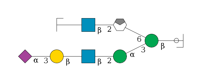 b1D-GlcNAc,p/#ccleavage--4b1D-Man,p(--3a1D-Man,p--2b1D-GlcNAc,p--?b1D-Gal,p--3a2D-NeuAc,p)--6a1D-Man,p/#xcleavage_0_4--2b1D-GlcNAc,p--?b1D-Gal,p/#zcleavage$MONO,Und,-2H,0,redEnd