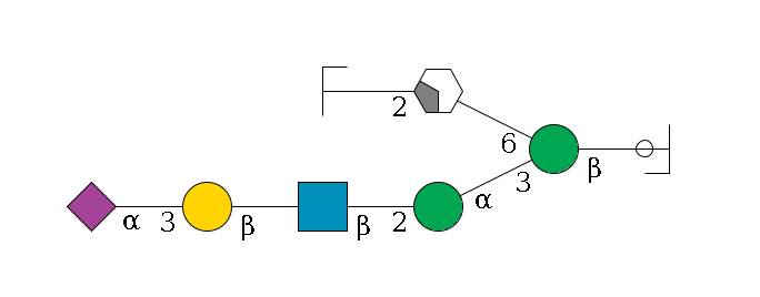 b1D-GlcNAc,p/#ccleavage--4b1D-Man,p(--3a1D-Man,p--2b1D-GlcNAc,p--?b1D-Gal,p--3a2D-NeuAc,p)--6a1D-Man,p/#xcleavage_2_4--2b1D-GlcNAc,p/#zcleavage$MONO,Und,-H,0,redEnd