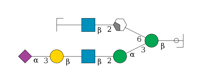 b1D-GlcNAc,p/#ccleavage--4b1D-Man,p(--3a1D-Man,p--2b1D-GlcNAc,p--?b1D-Gal,p--3a2D-NeuAc,p)--6a1D-Man,p/#xcleavage_2_4--2b1D-GlcNAc,p--?b1D-Gal,p/#zcleavage$MONO,Und,-H,0,redEnd