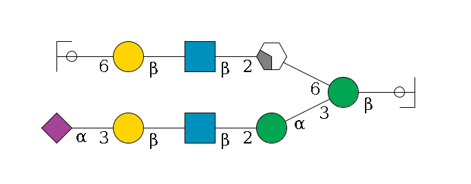 b1D-GlcNAc,p/#ccleavage--4b1D-Man,p(--3a1D-Man,p--2b1D-GlcNAc,p--?b1D-Gal,p--3a2D-NeuAc,p)--6a1D-Man,p/#xcleavage_2_4--2b1D-GlcNAc,p--?b1D-Gal,p--6a2D-NeuAc,p/#ycleavage$MONO,Und,-H,0,redEnd