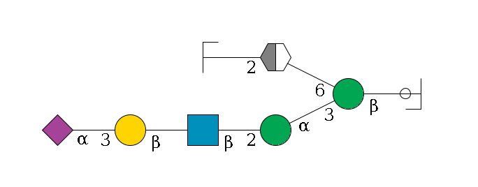 b1D-GlcNAc,p/#ccleavage--4b1D-Man,p(--3a1D-Man,p--2b1D-GlcNAc,p--?b1D-Gal,p--3a2D-NeuAc,p)--6a1D-Man,p/#xcleavage_2_5--2b1D-GlcNAc,p/#zcleavage$MONO,Und,-H,0,redEnd