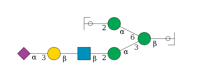 b1D-GlcNAc,p/#ccleavage--4b1D-Man,p(--3a1D-Man,p--2b1D-GlcNAc,p--?b1D-Gal,p--3a2D-NeuAc,p)--6a1D-Man,p--2b1D-GlcNAc,p/#ycleavage$MONO,Und,-2H,0,redEnd