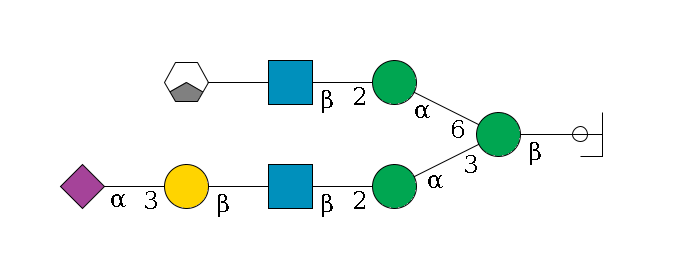 b1D-GlcNAc,p/#ccleavage--4b1D-Man,p(--3a1D-Man,p--2b1D-GlcNAc,p--?b1D-Gal,p--3a2D-NeuAc,p)--6a1D-Man,p--2b1D-GlcNAc,p--?b1D-Gal,p/#xcleavage_1_3$MONO,Und,-H,0,redEnd