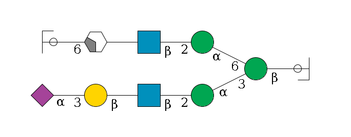 b1D-GlcNAc,p/#ccleavage--4b1D-Man,p(--3a1D-Man,p--2b1D-GlcNAc,p--?b1D-Gal,p--3a2D-NeuAc,p)--6a1D-Man,p--2b1D-GlcNAc,p--?b1D-Gal,p/#xcleavage_2_4--6a2D-NeuAc,p/#ycleavage$MONO,Und,-H,0,redEnd