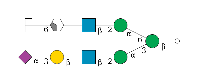 b1D-GlcNAc,p/#ccleavage--4b1D-Man,p(--3a1D-Man,p--2b1D-GlcNAc,p--?b1D-Gal,p--3a2D-NeuAc,p)--6a1D-Man,p--2b1D-GlcNAc,p--?b1D-Gal,p/#xcleavage_2_4--6a2D-NeuAc,p/#zcleavage$MONO,Und,-H,0,redEnd