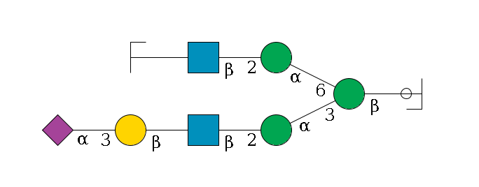 b1D-GlcNAc,p/#ccleavage--4b1D-Man,p(--3a1D-Man,p--2b1D-GlcNAc,p--?b1D-Gal,p--3a2D-NeuAc,p)--6a1D-Man,p--2b1D-GlcNAc,p--?b1D-Gal,p/#zcleavage$MONO,Und,-2H,0,redEnd