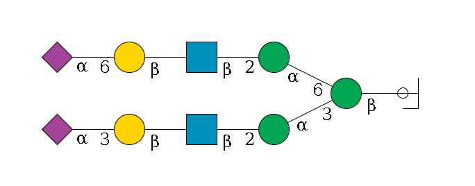 b1D-GlcNAc,p/#ccleavage--4b1D-Man,p(--3a1D-Man,p--2b1D-GlcNAc,p--?b1D-Gal,p--3a2D-NeuAc,p)--6a1D-Man,p--2b1D-GlcNAc,p--?b1D-Gal,p--6a2D-NeuAc,p$MONO,Und,-2H,0,redEnd