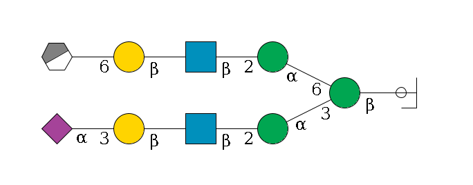 b1D-GlcNAc,p/#ccleavage--4b1D-Man,p(--3a1D-Man,p--2b1D-GlcNAc,p--?b1D-Gal,p--3a2D-NeuAc,p)--6a1D-Man,p--2b1D-GlcNAc,p--?b1D-Gal,p--6a2D-NeuAc,p/#xcleavage_0_3$MONO,Und,-H,0,redEnd