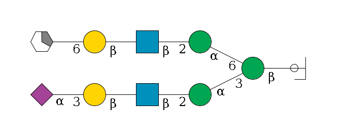 b1D-GlcNAc,p/#ccleavage--4b1D-Man,p(--3a1D-Man,p--2b1D-GlcNAc,p--?b1D-Gal,p--3a2D-NeuAc,p)--6a1D-Man,p--2b1D-GlcNAc,p--?b1D-Gal,p--6a2D-NeuAc,p/#xcleavage_1_5$MONO,Und,-2H,0,redEnd
