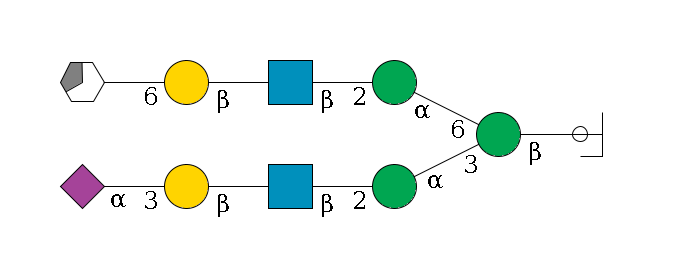 b1D-GlcNAc,p/#ccleavage--4b1D-Man,p(--3a1D-Man,p--2b1D-GlcNAc,p--?b1D-Gal,p--3a2D-NeuAc,p)--6a1D-Man,p--2b1D-GlcNAc,p--?b1D-Gal,p--6a2D-NeuAc,p/#xcleavage_3_5$MONO,Und,-2H,0,redEnd