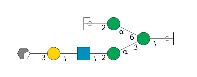 b1D-GlcNAc,p/#ccleavage--4b1D-Man,p(--3a1D-Man,p--2b1D-GlcNAc,p--?b1D-Gal,p--3a2D-NeuAc,p/#xcleavage_0_2)--6a1D-Man,p--2b1D-GlcNAc,p/#ycleavage$MONO,Und,-2H,0,redEnd