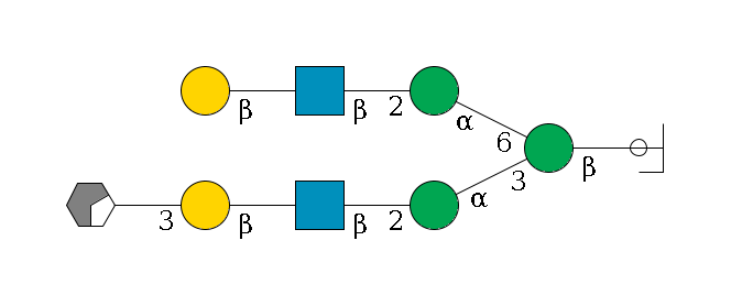 b1D-GlcNAc,p/#ccleavage--4b1D-Man,p(--3a1D-Man,p--2b1D-GlcNAc,p--?b1D-Gal,p--3a2D-NeuAc,p/#xcleavage_0_2)--6a1D-Man,p--2b1D-GlcNAc,p--?b1D-Gal,p$MONO,Und,-H,0,redEnd