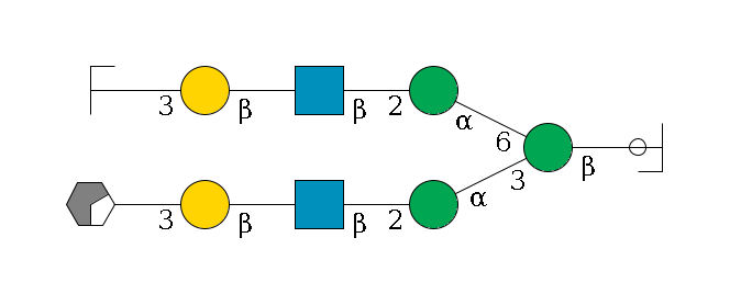 b1D-GlcNAc,p/#ccleavage--4b1D-Man,p(--3a1D-Man,p--2b1D-GlcNAc,p--?b1D-Gal,p--3a2D-NeuAc,p/#xcleavage_0_2)--6a1D-Man,p--2b1D-GlcNAc,p--?b1D-Gal,p--3a2D-NeuAc,p/#zcleavage$MONO,Und,-2H,0,redEnd