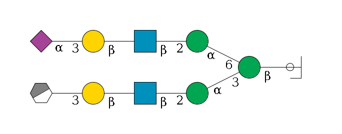 b1D-GlcNAc,p/#ccleavage--4b1D-Man,p(--3a1D-Man,p--2b1D-GlcNAc,p--?b1D-Gal,p--3a2D-NeuAc,p/#xcleavage_0_3)--6a1D-Man,p--2b1D-GlcNAc,p--?b1D-Gal,p--3a2D-NeuAc,p$MONO,Und,-H,0,redEnd
