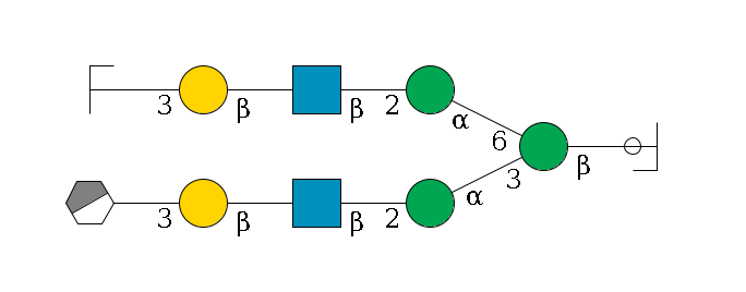 b1D-GlcNAc,p/#ccleavage--4b1D-Man,p(--3a1D-Man,p--2b1D-GlcNAc,p--?b1D-Gal,p--3a2D-NeuAc,p/#xcleavage_0_3)--6a1D-Man,p--2b1D-GlcNAc,p--?b1D-Gal,p--3a2D-NeuAc,p/#zcleavage$MONO,Und,-2H,0,redEnd