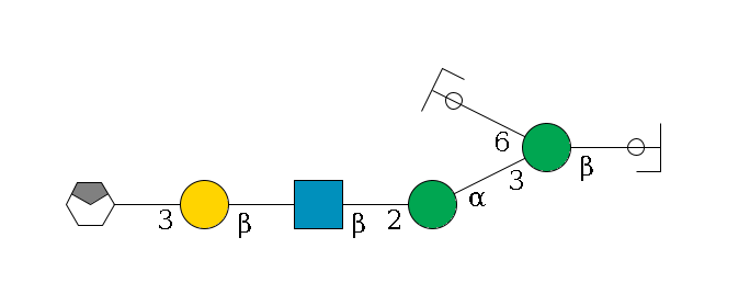 b1D-GlcNAc,p/#ccleavage--4b1D-Man,p(--3a1D-Man,p--2b1D-GlcNAc,p--?b1D-Gal,p--3a2D-NeuAc,p/#xcleavage_0_4)--6a1D-Man,p/#ycleavage$MONO,Und,-H,0,redEnd