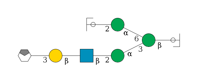 b1D-GlcNAc,p/#ccleavage--4b1D-Man,p(--3a1D-Man,p--2b1D-GlcNAc,p--?b1D-Gal,p--3a2D-NeuAc,p/#xcleavage_0_4)--6a1D-Man,p--2b1D-GlcNAc,p/#ycleavage$MONO,Und,-2H,0,redEnd