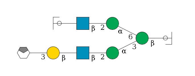 b1D-GlcNAc,p/#ccleavage--4b1D-Man,p(--3a1D-Man,p--2b1D-GlcNAc,p--?b1D-Gal,p--3a2D-NeuAc,p/#xcleavage_0_4)--6a1D-Man,p--2b1D-GlcNAc,p--?b1D-Gal,p/#ycleavage$MONO,Und,-H,0,redEnd