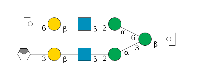 b1D-GlcNAc,p/#ccleavage--4b1D-Man,p(--3a1D-Man,p--2b1D-GlcNAc,p--?b1D-Gal,p--3a2D-NeuAc,p/#xcleavage_0_4)--6a1D-Man,p--2b1D-GlcNAc,p--?b1D-Gal,p--6a2D-NeuAc,p/#ycleavage$MONO,Und,-H,0,redEnd