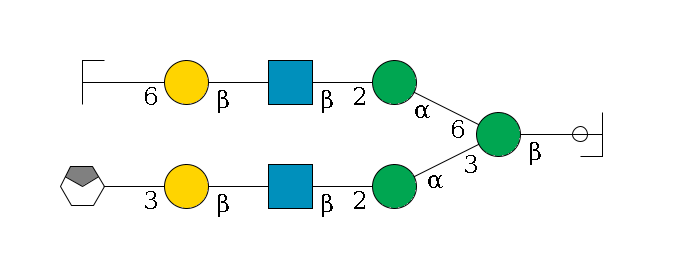 b1D-GlcNAc,p/#ccleavage--4b1D-Man,p(--3a1D-Man,p--2b1D-GlcNAc,p--?b1D-Gal,p--3a2D-NeuAc,p/#xcleavage_0_4)--6a1D-Man,p--2b1D-GlcNAc,p--?b1D-Gal,p--6a2D-NeuAc,p/#zcleavage$MONO,Und,-2H,0,redEnd