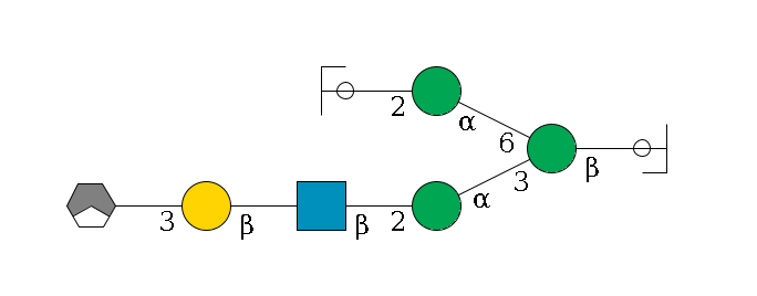 b1D-GlcNAc,p/#ccleavage--4b1D-Man,p(--3a1D-Man,p--2b1D-GlcNAc,p--?b1D-Gal,p--3a2D-NeuAc,p/#xcleavage_1_3)--6a1D-Man,p--2b1D-GlcNAc,p/#ycleavage$MONO,Und,-H,0,redEnd