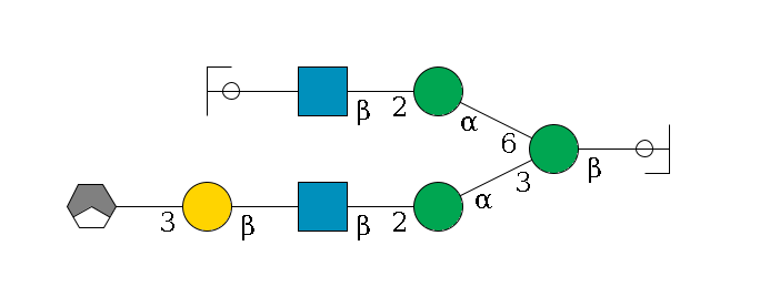 b1D-GlcNAc,p/#ccleavage--4b1D-Man,p(--3a1D-Man,p--2b1D-GlcNAc,p--?b1D-Gal,p--3a2D-NeuAc,p/#xcleavage_1_3)--6a1D-Man,p--2b1D-GlcNAc,p--?b1D-Gal,p/#ycleavage$MONO,Und,-H,0,redEnd
