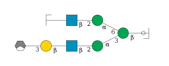 b1D-GlcNAc,p/#ccleavage--4b1D-Man,p(--3a1D-Man,p--2b1D-GlcNAc,p--?b1D-Gal,p--3a2D-NeuAc,p/#xcleavage_1_3)--6a1D-Man,p--2b1D-GlcNAc,p--?b1D-Gal,p/#zcleavage$MONO,Und,-2H,0,redEnd