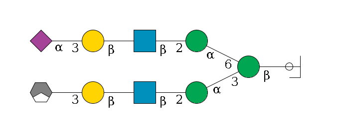b1D-GlcNAc,p/#ccleavage--4b1D-Man,p(--3a1D-Man,p--2b1D-GlcNAc,p--?b1D-Gal,p--3a2D-NeuAc,p/#xcleavage_1_3)--6a1D-Man,p--2b1D-GlcNAc,p--?b1D-Gal,p--3a2D-NeuAc,p$MONO,Und,-H,0,redEnd