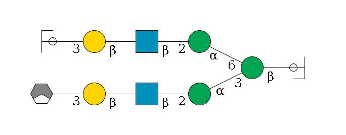 b1D-GlcNAc,p/#ccleavage--4b1D-Man,p(--3a1D-Man,p--2b1D-GlcNAc,p--?b1D-Gal,p--3a2D-NeuAc,p/#xcleavage_1_3)--6a1D-Man,p--2b1D-GlcNAc,p--?b1D-Gal,p--3a2D-NeuAc,p/#ycleavage$MONO,Und,-H,0,redEnd