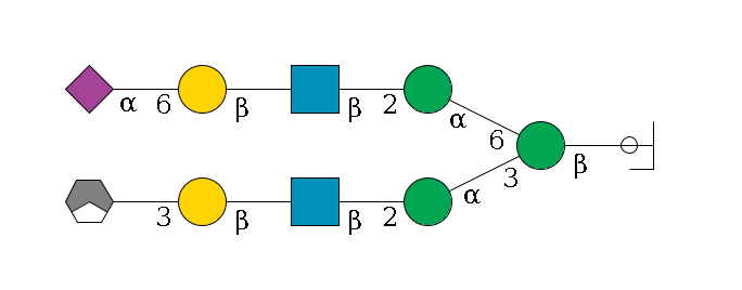 b1D-GlcNAc,p/#ccleavage--4b1D-Man,p(--3a1D-Man,p--2b1D-GlcNAc,p--?b1D-Gal,p--3a2D-NeuAc,p/#xcleavage_1_3)--6a1D-Man,p--2b1D-GlcNAc,p--?b1D-Gal,p--6a2D-NeuAc,p$MONO,Und,-2H,0,redEnd