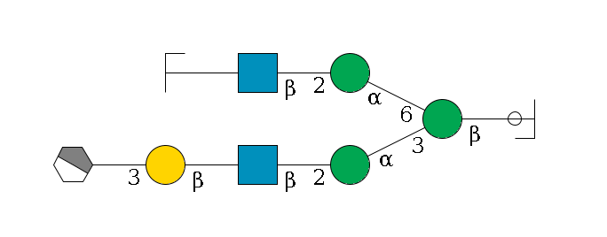 b1D-GlcNAc,p/#ccleavage--4b1D-Man,p(--3a1D-Man,p--2b1D-GlcNAc,p--?b1D-Gal,p--3a2D-NeuAc,p/#xcleavage_1_4)--6a1D-Man,p--2b1D-GlcNAc,p--?b1D-Gal,p/#zcleavage$MONO,Und,-H,0,redEnd