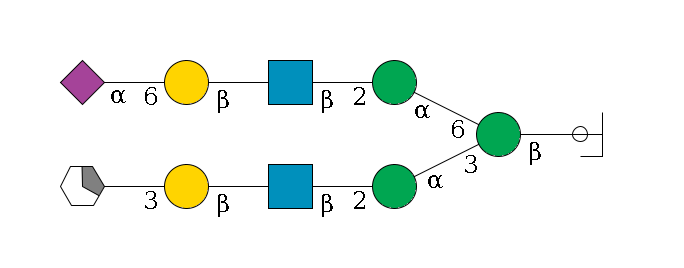 b1D-GlcNAc,p/#ccleavage--4b1D-Man,p(--3a1D-Man,p--2b1D-GlcNAc,p--?b1D-Gal,p--3a2D-NeuAc,p/#xcleavage_1_5)--6a1D-Man,p--2b1D-GlcNAc,p--?b1D-Gal,p--6a2D-NeuAc,p$MONO,Und,-2H,0,redEnd