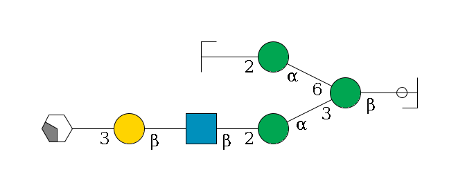 b1D-GlcNAc,p/#ccleavage--4b1D-Man,p(--3a1D-Man,p--2b1D-GlcNAc,p--?b1D-Gal,p--3a2D-NeuAc,p/#xcleavage_2_4)--6a1D-Man,p--2b1D-GlcNAc,p/#zcleavage$MONO,Und,-2H,0,redEnd