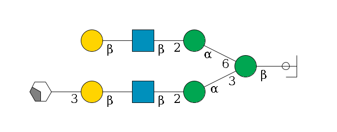 b1D-GlcNAc,p/#ccleavage--4b1D-Man,p(--3a1D-Man,p--2b1D-GlcNAc,p--?b1D-Gal,p--3a2D-NeuAc,p/#xcleavage_2_4)--6a1D-Man,p--2b1D-GlcNAc,p--?b1D-Gal,p$MONO,Und,-2H,0,redEnd