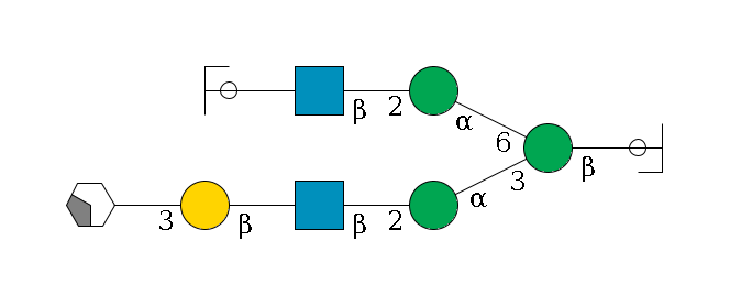 b1D-GlcNAc,p/#ccleavage--4b1D-Man,p(--3a1D-Man,p--2b1D-GlcNAc,p--?b1D-Gal,p--3a2D-NeuAc,p/#xcleavage_2_4)--6a1D-Man,p--2b1D-GlcNAc,p--?b1D-Gal,p/#ycleavage$MONO,Und,-H,0,redEnd