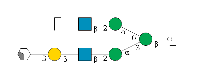 b1D-GlcNAc,p/#ccleavage--4b1D-Man,p(--3a1D-Man,p--2b1D-GlcNAc,p--?b1D-Gal,p--3a2D-NeuAc,p/#xcleavage_2_4)--6a1D-Man,p--2b1D-GlcNAc,p--?b1D-Gal,p/#zcleavage$MONO,Und,-2H,0,redEnd
