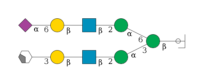 b1D-GlcNAc,p/#ccleavage--4b1D-Man,p(--3a1D-Man,p--2b1D-GlcNAc,p--?b1D-Gal,p--3a2D-NeuAc,p/#xcleavage_2_4)--6a1D-Man,p--2b1D-GlcNAc,p--?b1D-Gal,p--6a2D-NeuAc,p$MONO,Und,-2H,0,redEnd