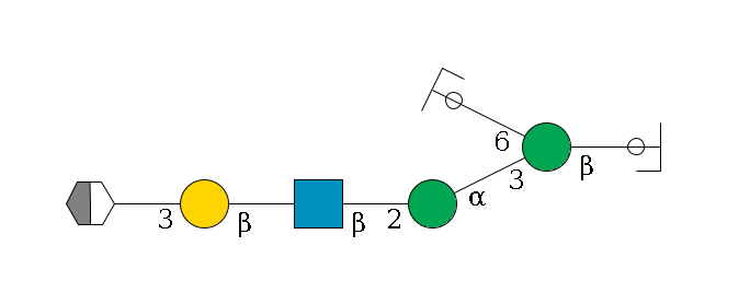 b1D-GlcNAc,p/#ccleavage--4b1D-Man,p(--3a1D-Man,p--2b1D-GlcNAc,p--?b1D-Gal,p--3a2D-NeuAc,p/#xcleavage_2_5)--6a1D-Man,p/#ycleavage$MONO,Und,-H,0,redEnd
