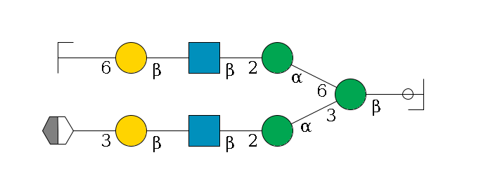 b1D-GlcNAc,p/#ccleavage--4b1D-Man,p(--3a1D-Man,p--2b1D-GlcNAc,p--?b1D-Gal,p--3a2D-NeuAc,p/#xcleavage_2_5)--6a1D-Man,p--2b1D-GlcNAc,p--?b1D-Gal,p--6a2D-NeuAc,p/#zcleavage$MONO,Und,-2H,0,redEnd