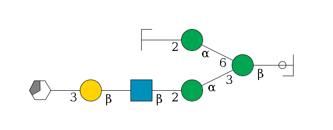 b1D-GlcNAc,p/#ccleavage--4b1D-Man,p(--3a1D-Man,p--2b1D-GlcNAc,p--?b1D-Gal,p--3a2D-NeuAc,p/#xcleavage_3_5)--6a1D-Man,p--2b1D-GlcNAc,p/#zcleavage$MONO,Und,-H,0,redEnd