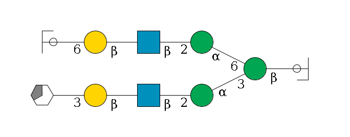 b1D-GlcNAc,p/#ccleavage--4b1D-Man,p(--3a1D-Man,p--2b1D-GlcNAc,p--?b1D-Gal,p--3a2D-NeuAc,p/#xcleavage_3_5)--6a1D-Man,p--2b1D-GlcNAc,p--?b1D-Gal,p--6a2D-NeuAc,p/#ycleavage$MONO,Und,-2H,0,redEnd