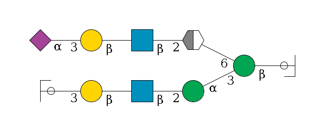 b1D-GlcNAc,p/#ccleavage--4b1D-Man,p(--3a1D-Man,p--2b1D-GlcNAc,p--?b1D-Gal,p--3a2D-NeuAc,p/#ycleavage)--6a1D-Man,p/#xcleavage_2_5--2b1D-GlcNAc,p--?b1D-Gal,p--3a2D-NeuAc,p$MONO,Und,-H,0,redEnd