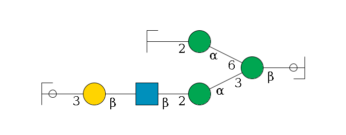 b1D-GlcNAc,p/#ccleavage--4b1D-Man,p(--3a1D-Man,p--2b1D-GlcNAc,p--?b1D-Gal,p--3a2D-NeuAc,p/#ycleavage)--6a1D-Man,p--2b1D-GlcNAc,p/#zcleavage$MONO,Und,-2H,0,redEnd