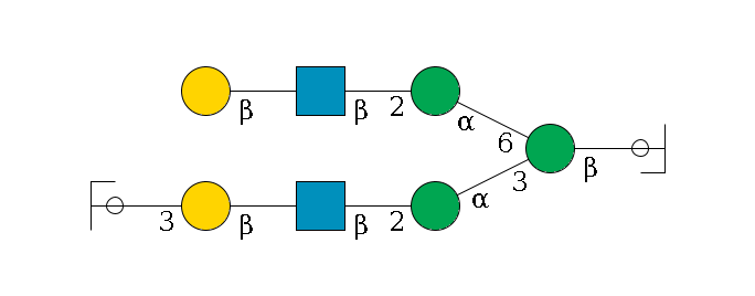 b1D-GlcNAc,p/#ccleavage--4b1D-Man,p(--3a1D-Man,p--2b1D-GlcNAc,p--?b1D-Gal,p--3a2D-NeuAc,p/#ycleavage)--6a1D-Man,p--2b1D-GlcNAc,p--?b1D-Gal,p$MONO,Und,-H,0,redEnd