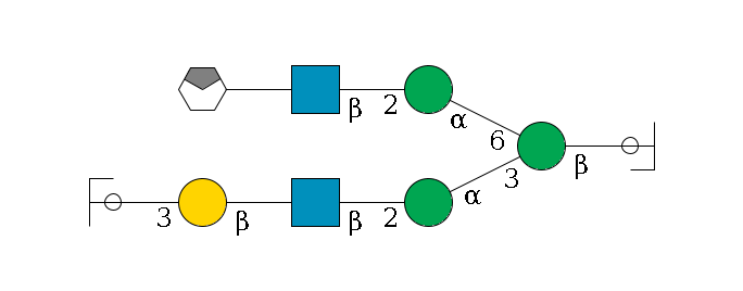b1D-GlcNAc,p/#ccleavage--4b1D-Man,p(--3a1D-Man,p--2b1D-GlcNAc,p--?b1D-Gal,p--3a2D-NeuAc,p/#ycleavage)--6a1D-Man,p--2b1D-GlcNAc,p--?b1D-Gal,p/#xcleavage_0_4$MONO,Und,-2H,0,redEnd
