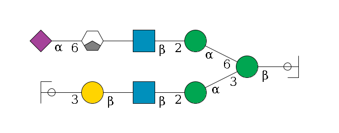 b1D-GlcNAc,p/#ccleavage--4b1D-Man,p(--3a1D-Man,p--2b1D-GlcNAc,p--?b1D-Gal,p--3a2D-NeuAc,p/#ycleavage)--6a1D-Man,p--2b1D-GlcNAc,p--?b1D-Gal,p/#xcleavage_1_3--6a2D-NeuAc,p$MONO,Und,-H,0,redEnd